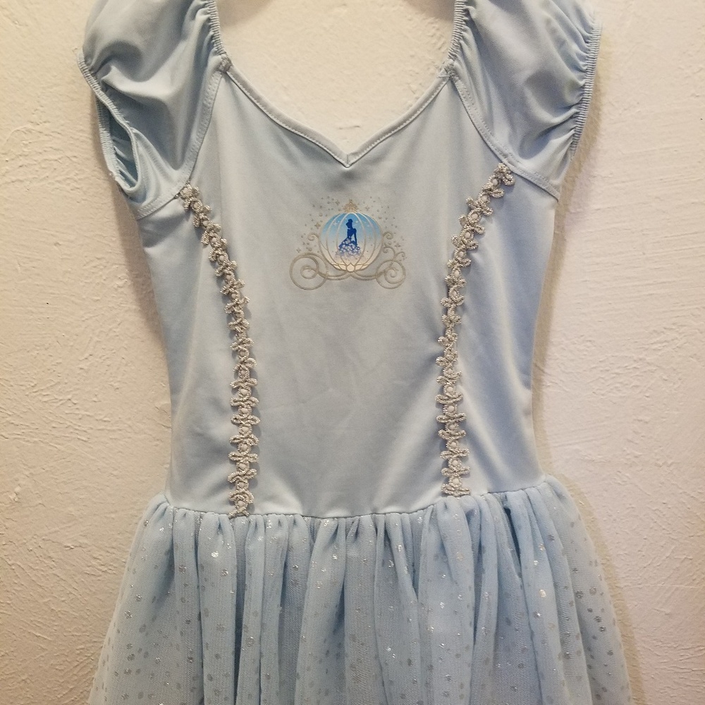 Cinderella tutu dress/dance wear